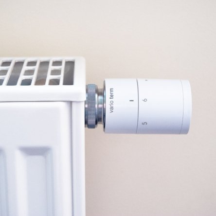 Pony glowica termostatyczna na grzejniku rozjasniony